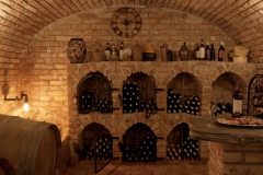 Stanovnik_low_res-27